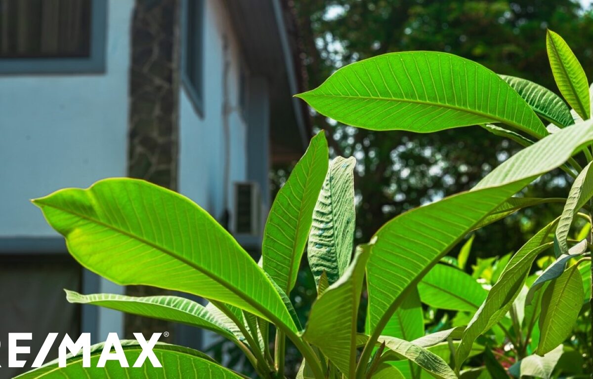 Homes for sale in Puntarenas Costa Rica