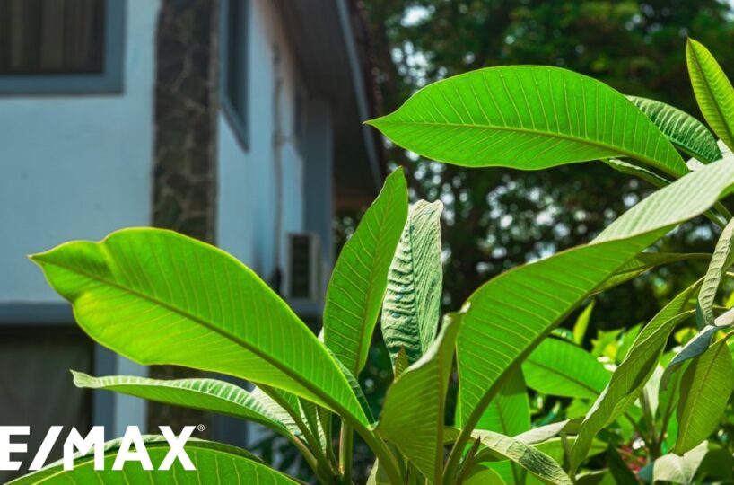 Homes for sale in Puntarenas Costa Rica