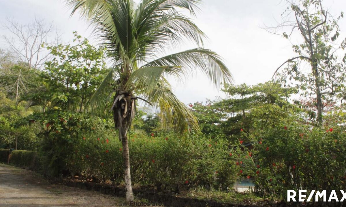 Development LandHotel - B&B for sale in Hermosa Beach Costa Rica