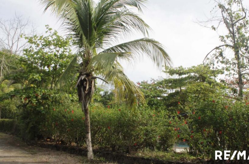 Development LandHotel - B&B for sale in Hermosa Beach Costa Rica