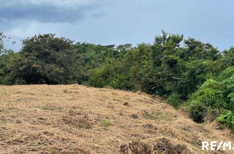 Building Lots for sale in Tarcoles Costa Rica