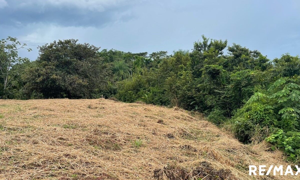 Building Lots for sale in Tarcoles Costa Rica