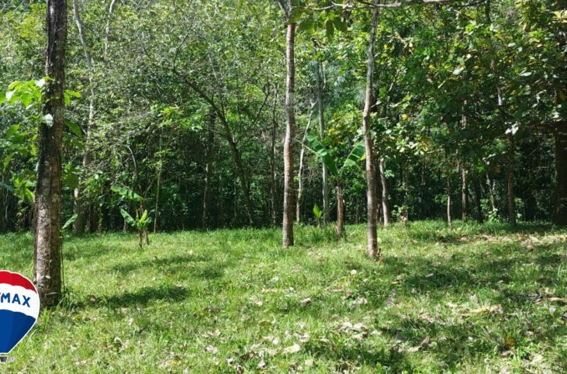 Building Lots for sale in Hermosa Beach Costa Rica