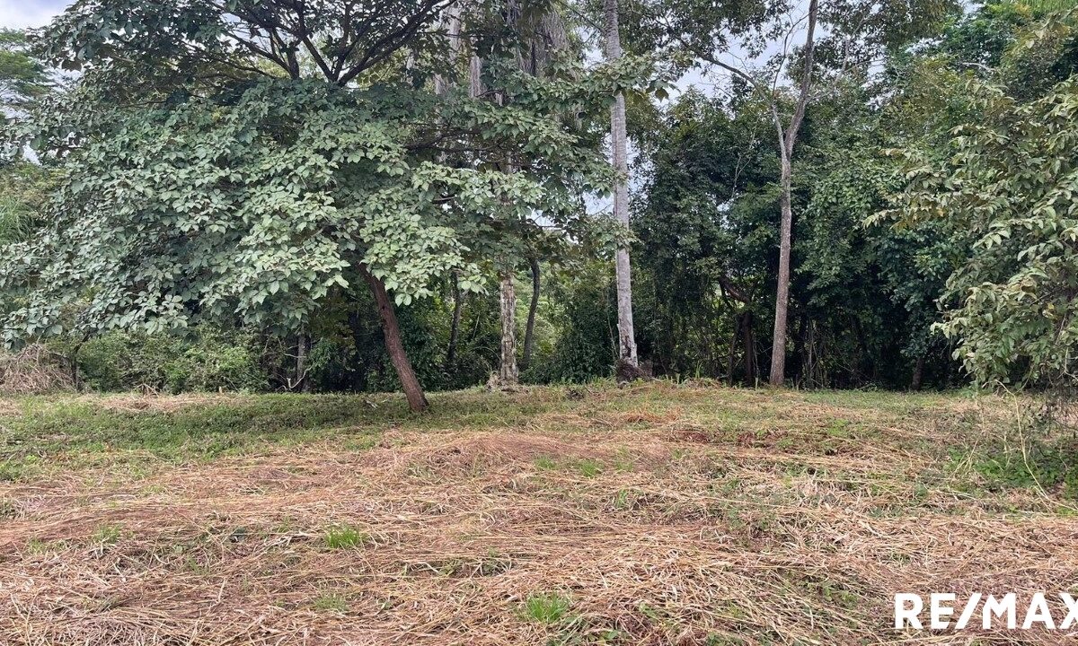 Building Lots for sale in Tarcoles Costa Rica
