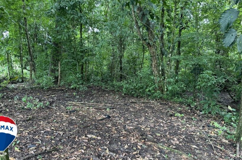 Building Lots for sale in San Antonio de Tulin Costa Rica