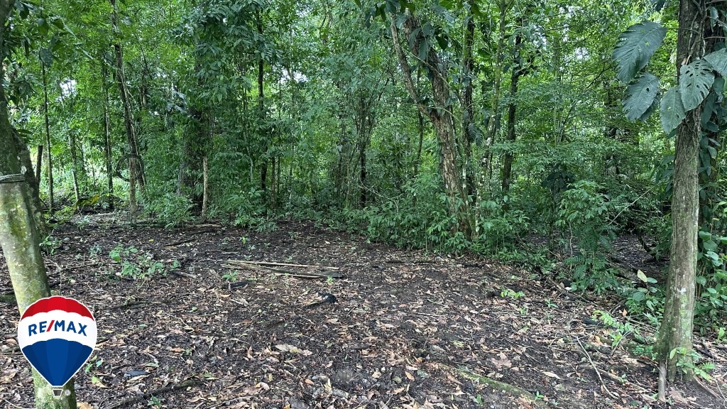 Building Lots for sale in San Antonio de Tulin Costa Rica