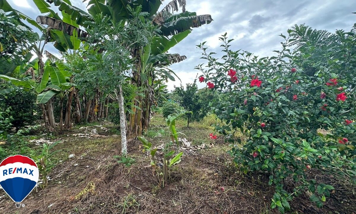 Building Lots for sale in Parrita Costa Rica