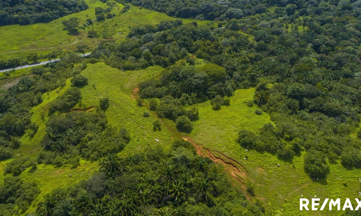 Building Lots for sale in Esterillos Costa Rica