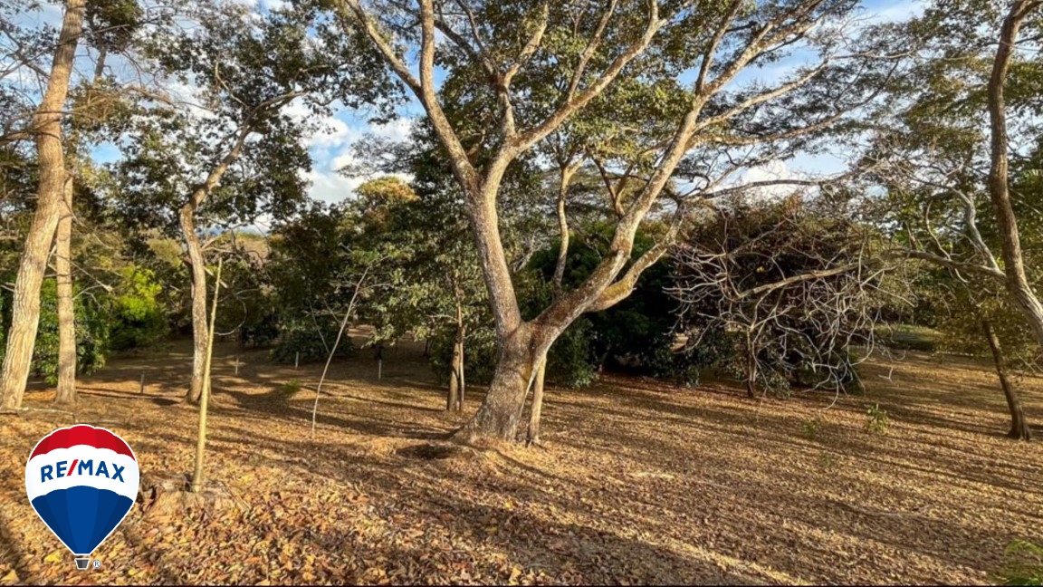 Building Lots for sale in Tarcoles Costa Rica