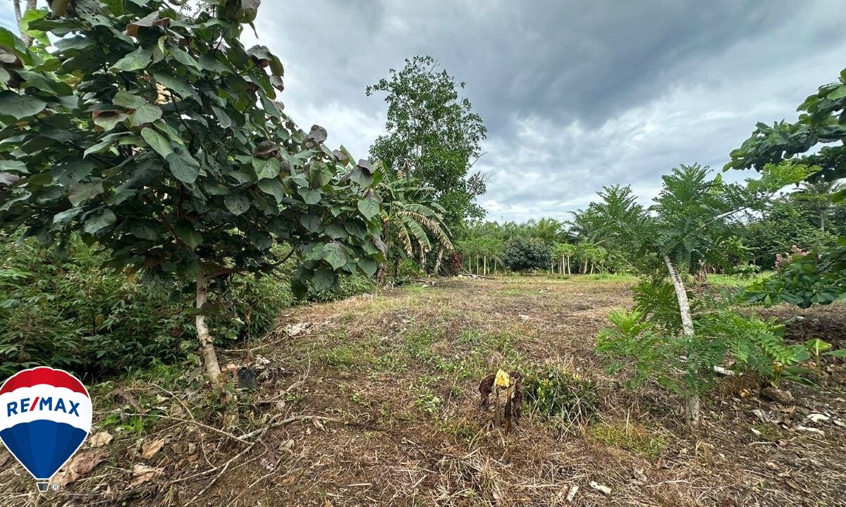Building Lots for sale in Parrita Costa Rica