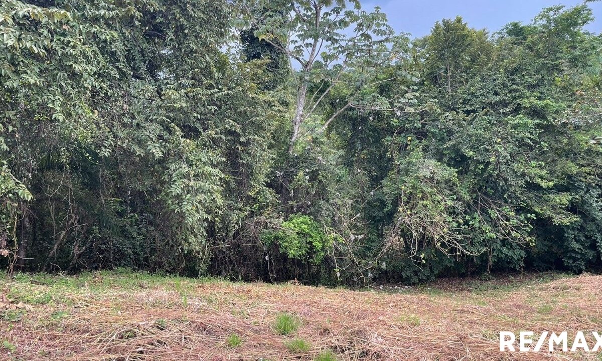Building Lots for sale in Tarcoles Costa Rica