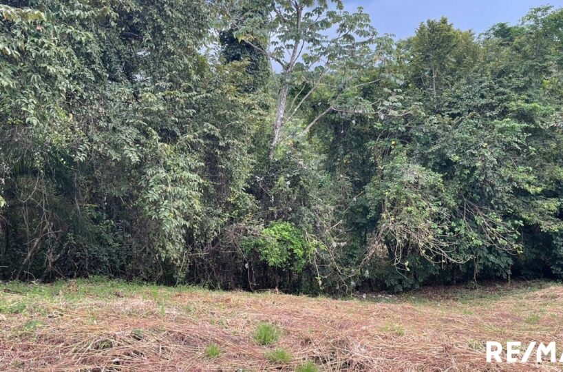 Building Lots for sale in Tarcoles Costa Rica