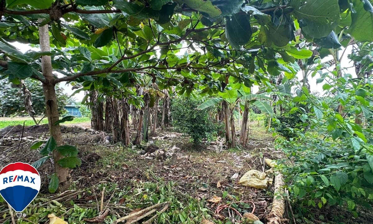 Building Lots for sale in Parrita Costa Rica