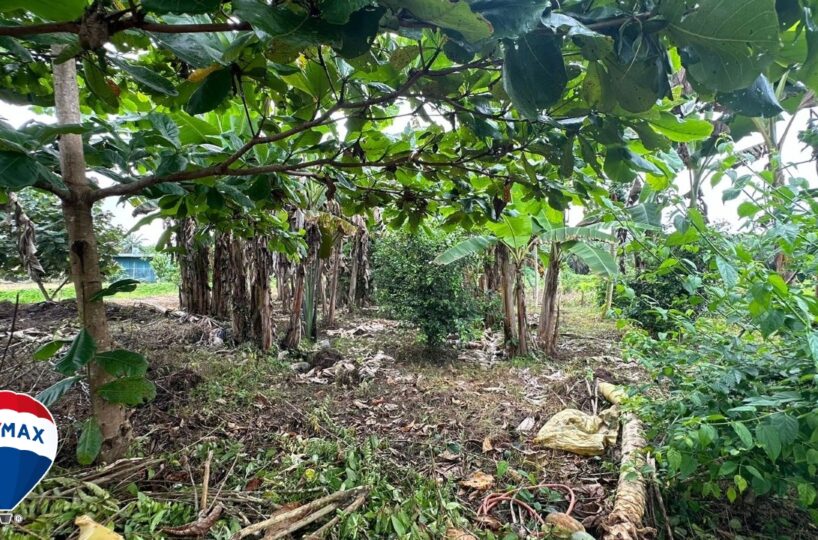 Building Lots for sale in Parrita Costa Rica