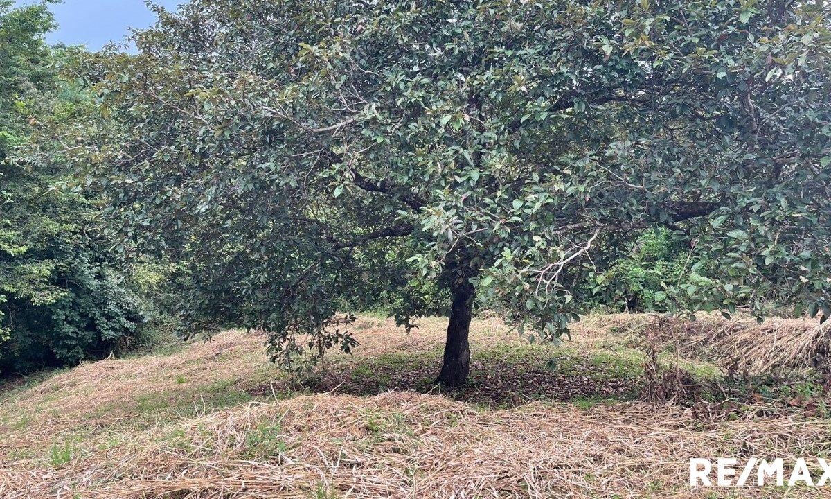 Building Lots for sale in Tarcoles Costa Rica