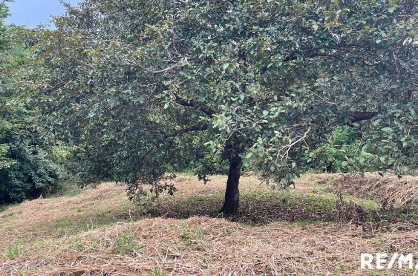 Building Lots for sale in Tarcoles Costa Rica