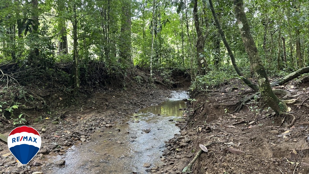 Building Lots for sale in San Antonio de Tulin Costa Rica