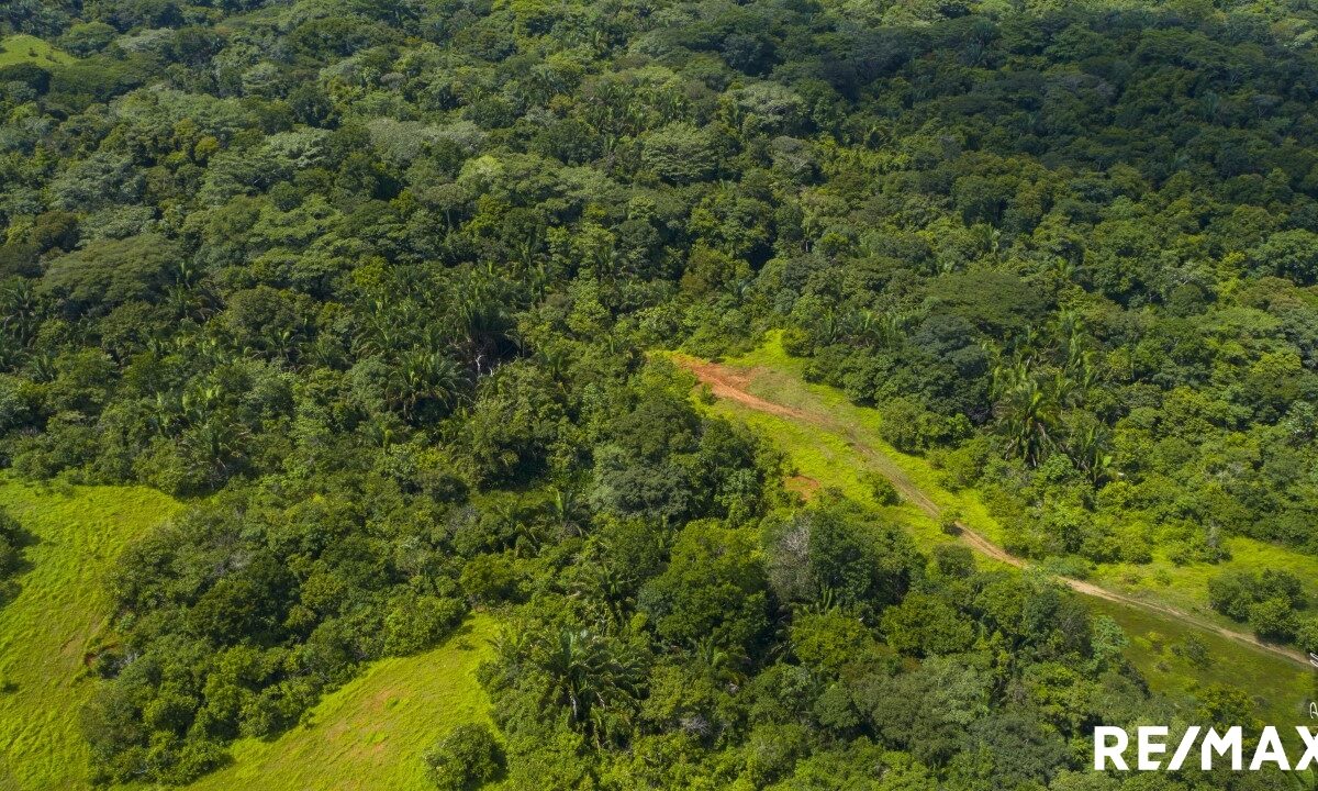 Building Lots for sale in Esterillos Costa Rica