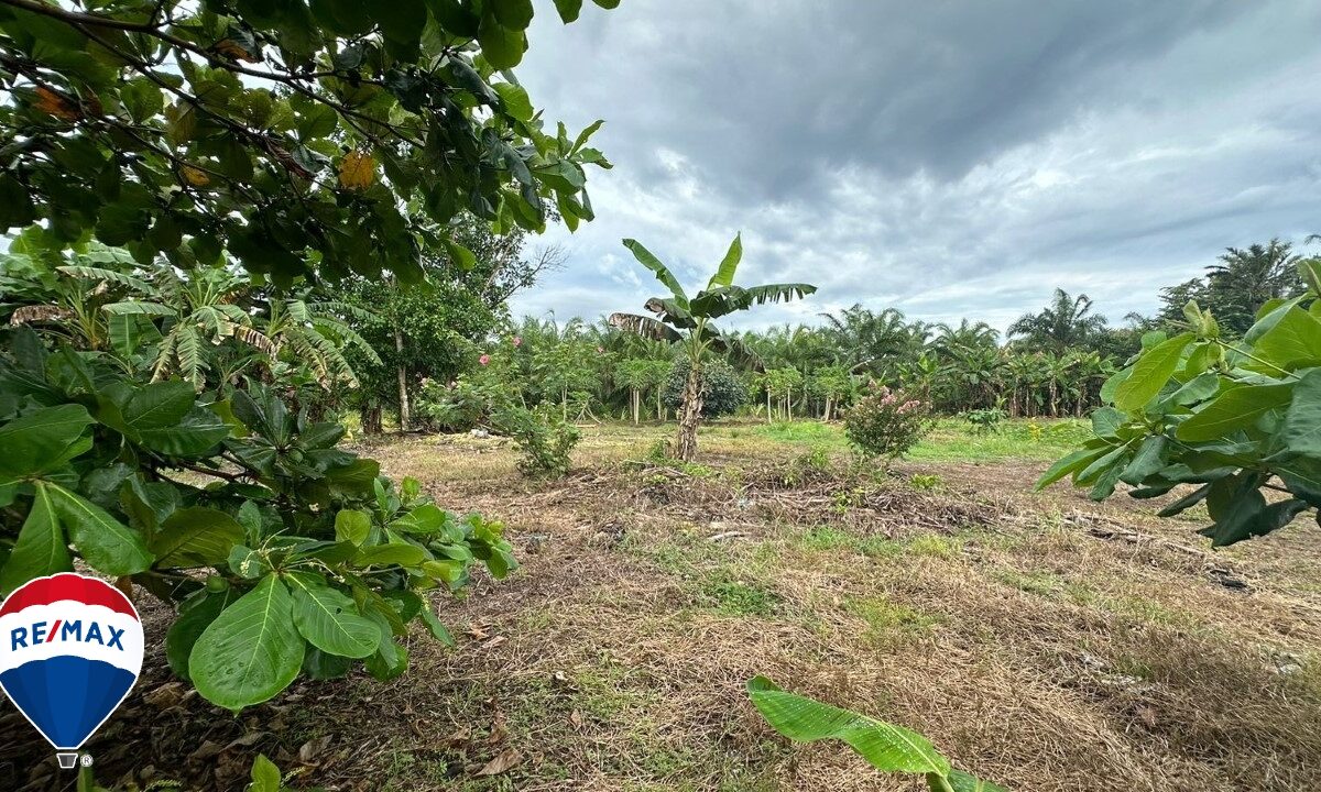 Building Lots for sale in Parrita Costa Rica