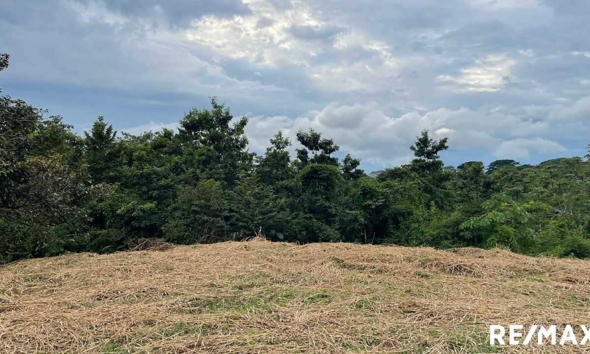 Building Lots for sale in Tarcoles Costa Rica