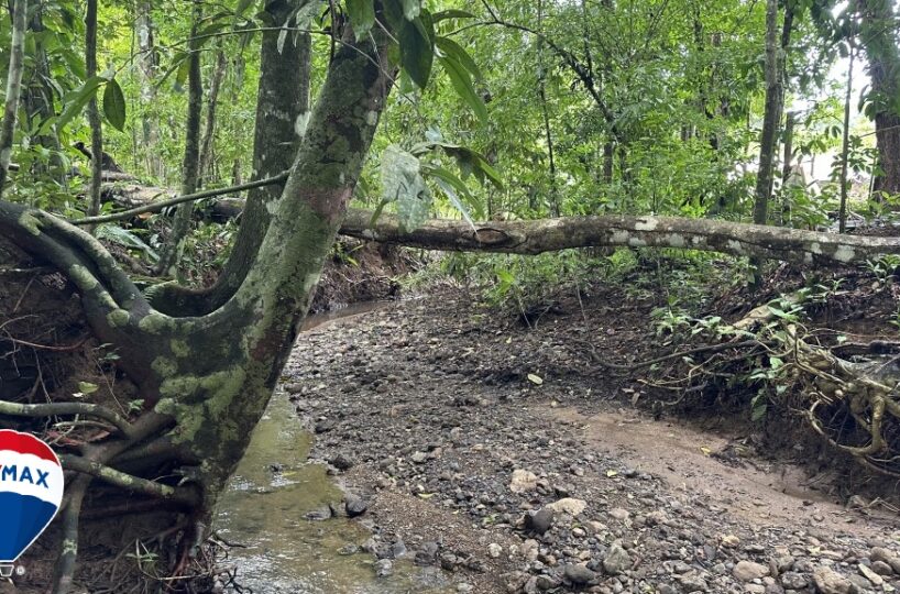 Building Lots for sale in San Antonio de Tulin Costa Rica