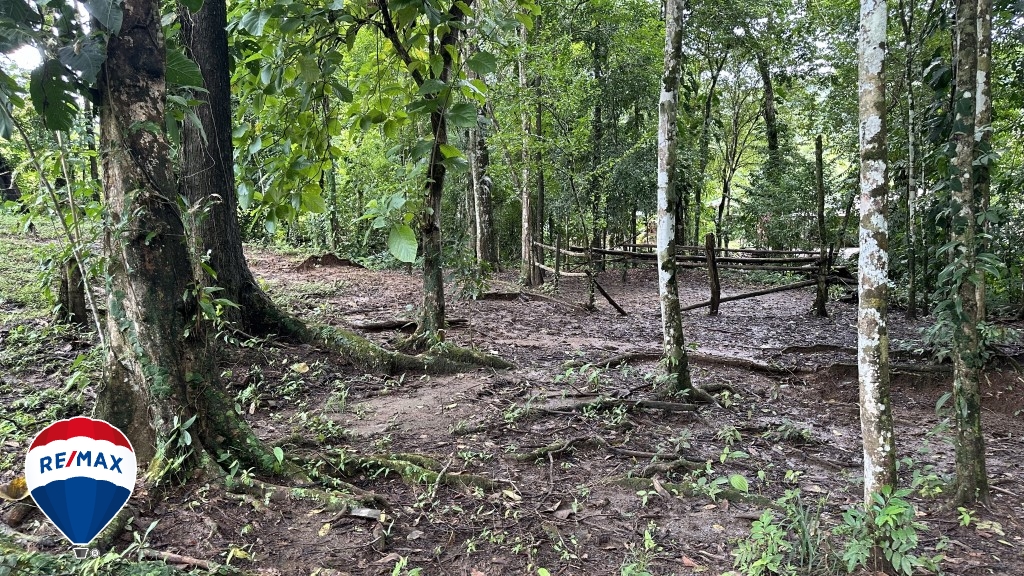 Building Lots for sale in San Antonio de Tulin Costa Rica