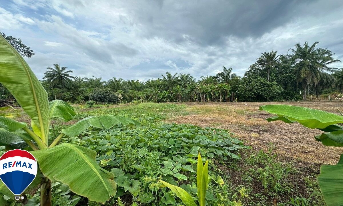 Building Lots for sale in Parrita Costa Rica
