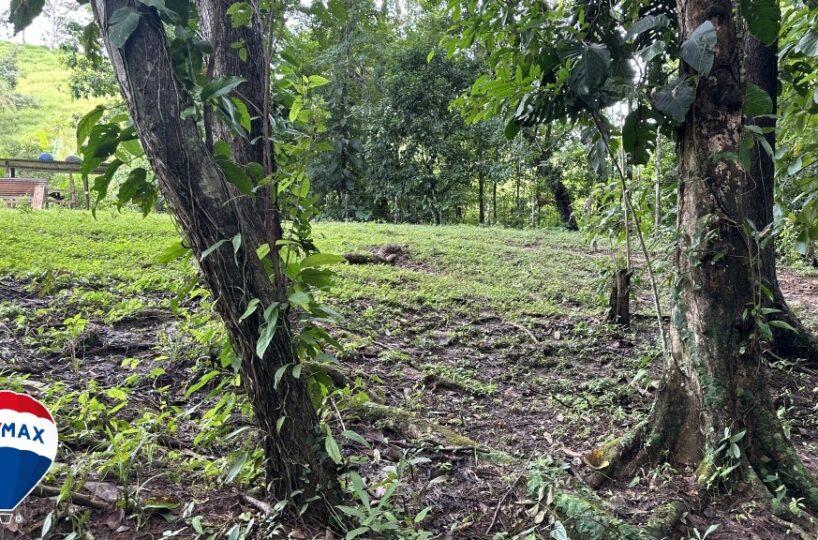 Building Lots for sale in San Antonio de Tulin Costa Rica