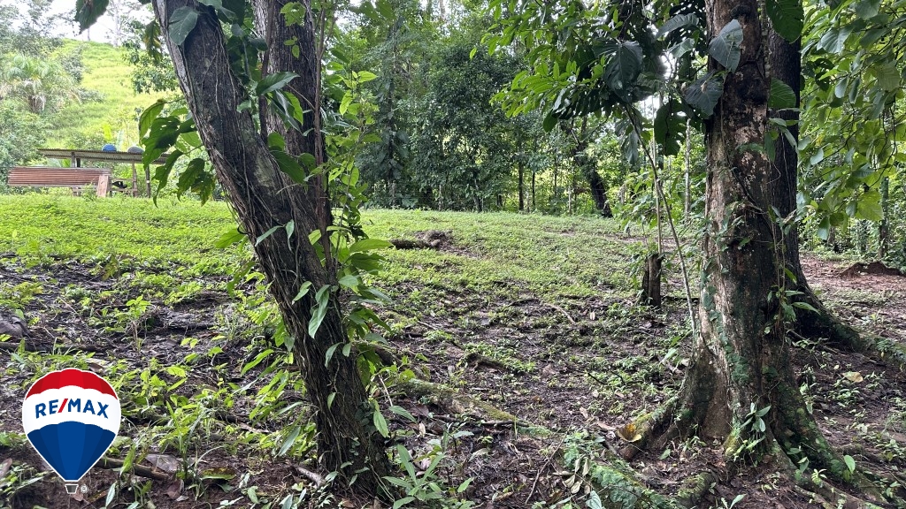 Building Lots for sale in San Antonio de Tulin Costa Rica