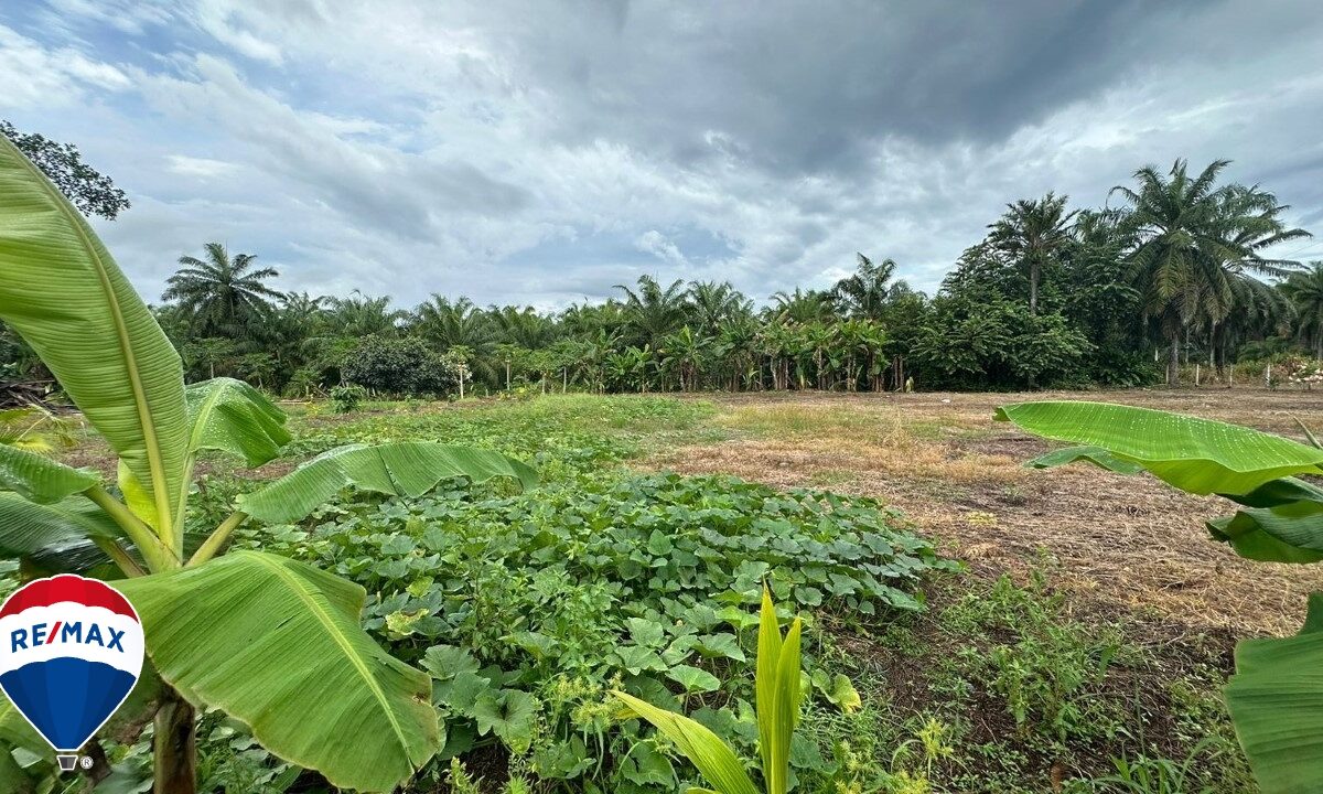 Building Lots for sale in Parrita Costa Rica