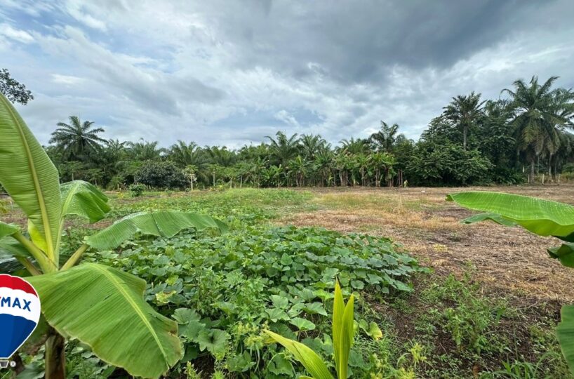 Building Lots for sale in Parrita Costa Rica