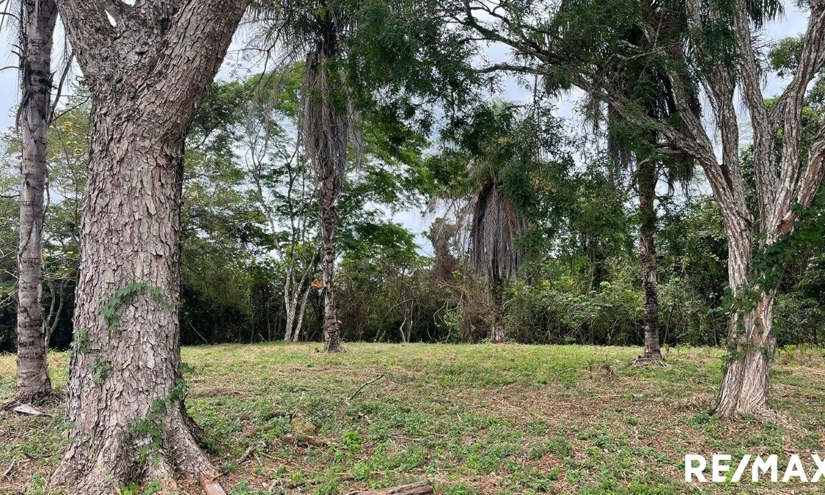 Building Lots for sale in Tarcoles Costa Rica