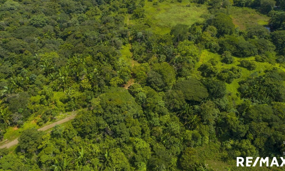 Building Lots for sale in Esterillos Costa Rica