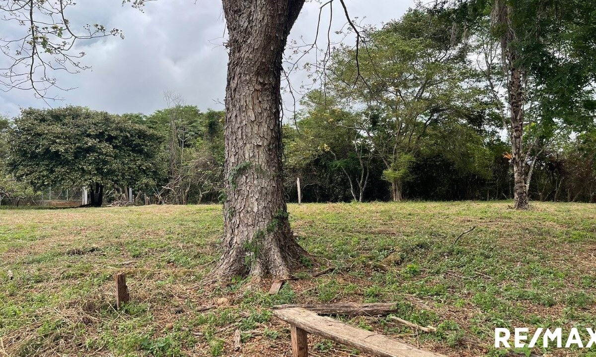 Building Lots for sale in Tarcoles Costa Rica