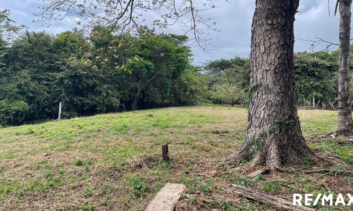 Building Lots for sale in Tarcoles Costa Rica