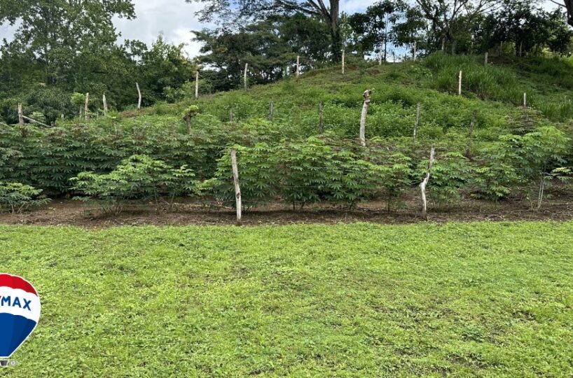 Building Lots for sale in San Antonio de Tulin Costa Rica