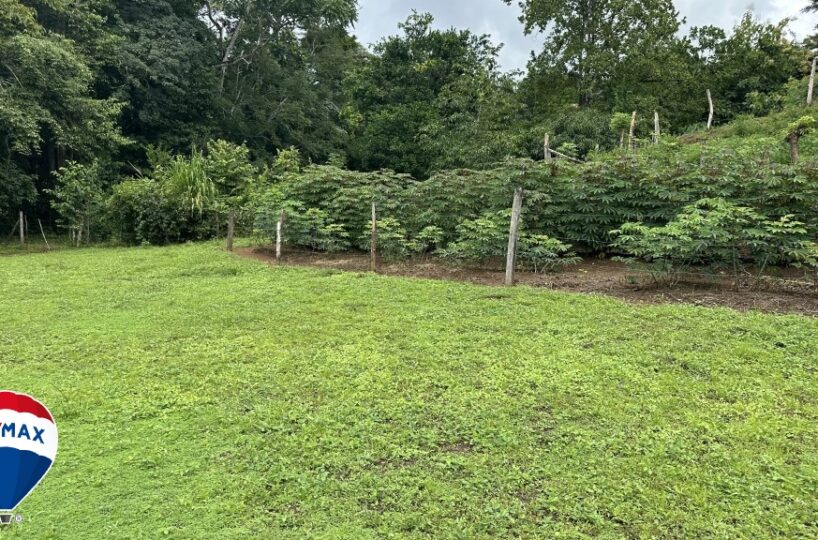 Building Lots for sale in San Antonio de Tulin Costa Rica