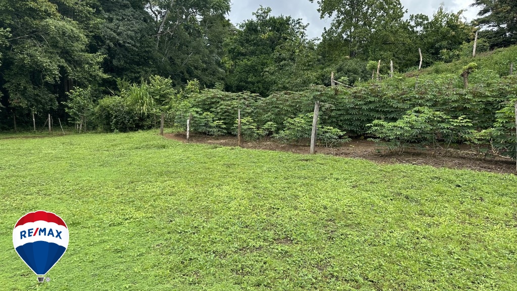 Building Lots for sale in San Antonio de Tulin Costa Rica