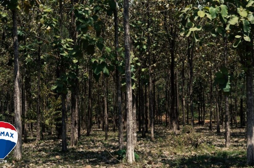 Building Lots for sale in Hermosa Beach Costa Rica