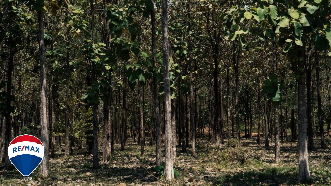 Building Lots for sale in Hermosa Beach Costa Rica