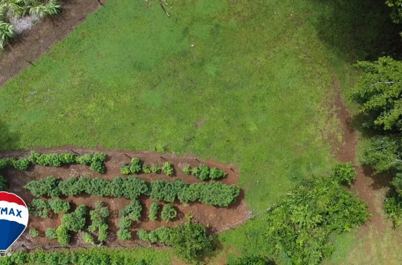 Building Lots for sale in San Antonio de Tulin Costa Rica