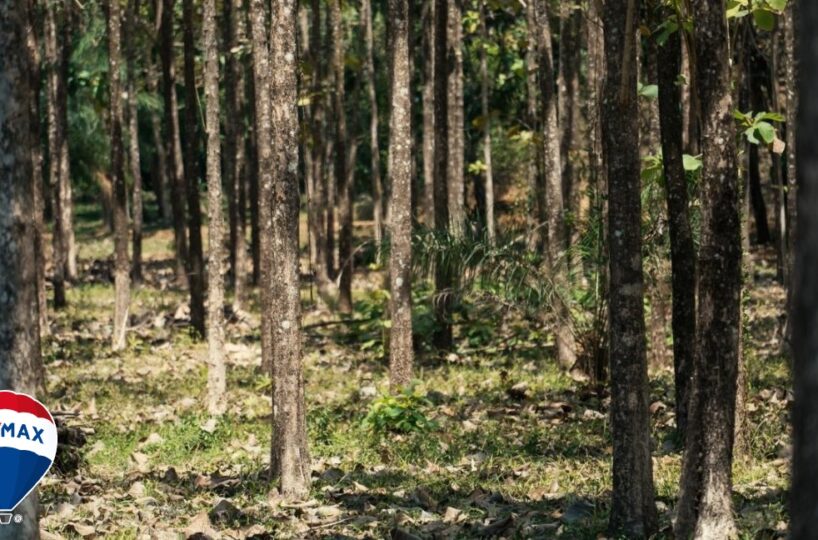 Building Lots for sale in Hermosa Beach Costa Rica