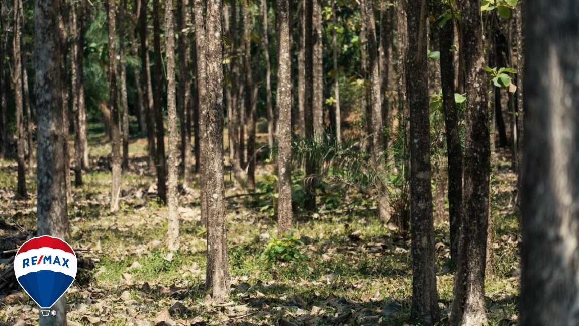 Building Lots for sale in Hermosa Beach Costa Rica