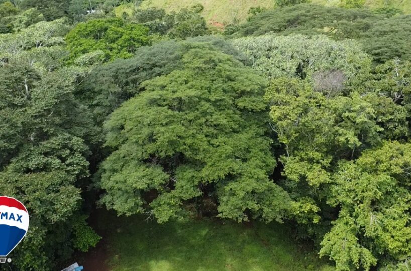 Building Lots for sale in San Antonio de Tulin Costa Rica