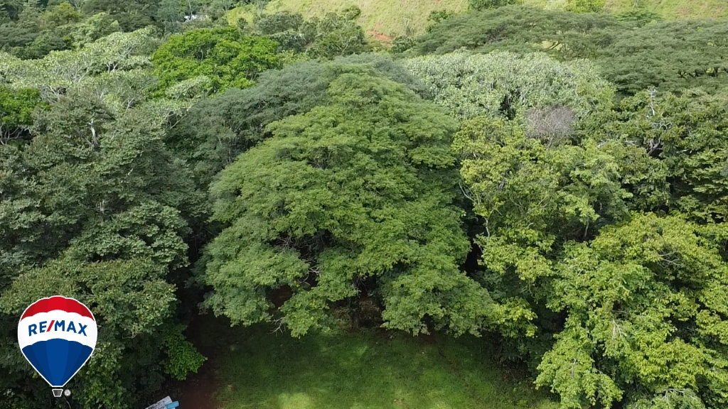 Building Lots for sale in San Antonio de Tulin Costa Rica