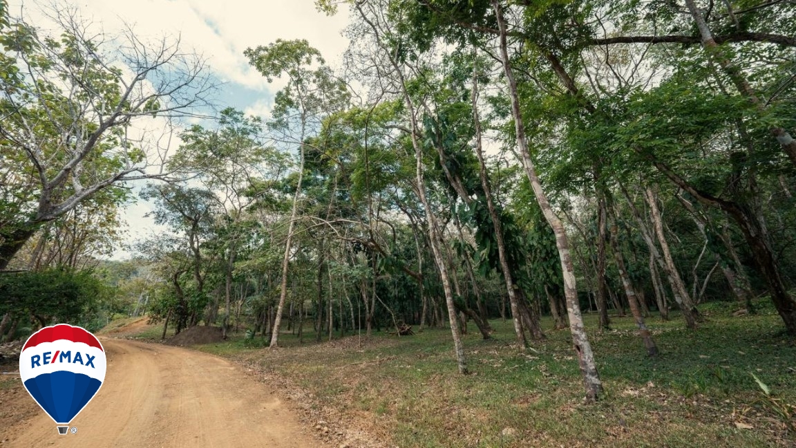 Building Lots for sale in Hermosa Beach Costa Rica
