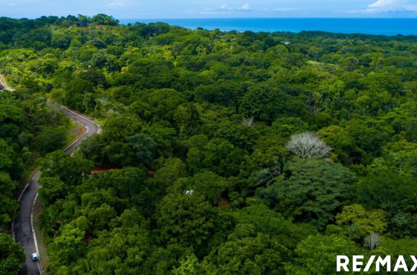 Building Lots for sale in Esterillos Costa Rica