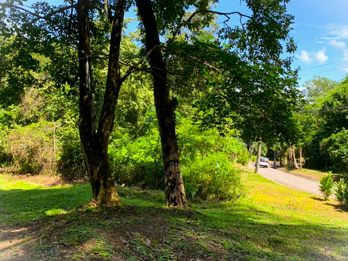 Building Lots for sale in Tarcoles Costa Rica