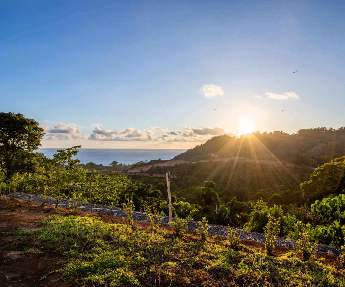 Homes for sale in Hermosa Beach Costa Rica