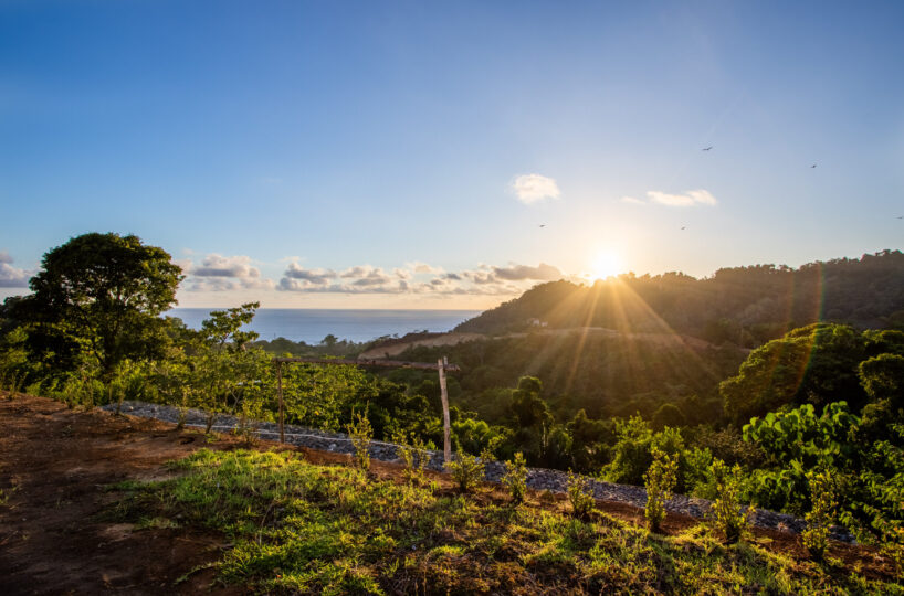 Homes for sale in Hermosa Beach Costa Rica